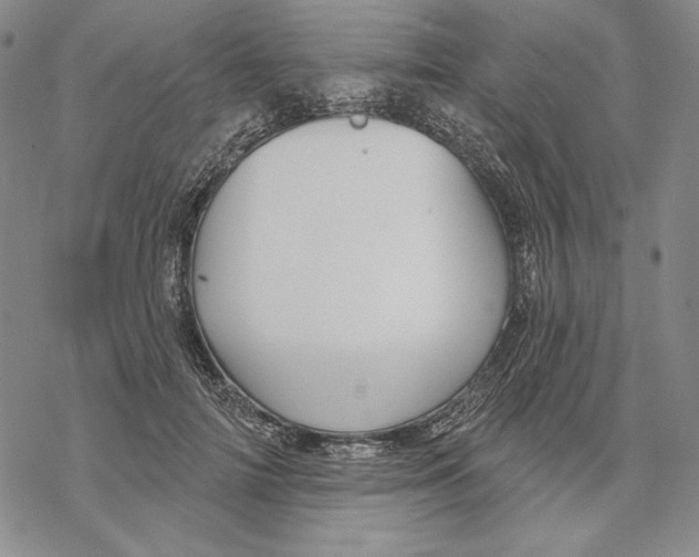 X0000068770698200605191648