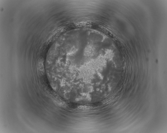 X0000068770699200605191648