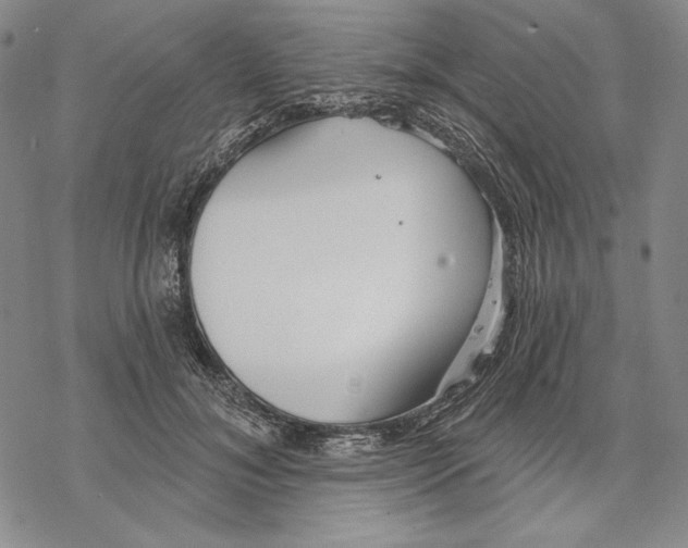 X0000068770700200605191648