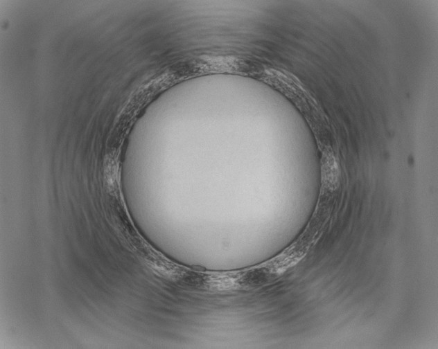 X0000068770701200605191648