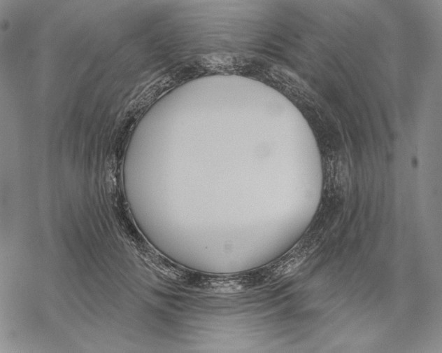 X0000068770702200605191648