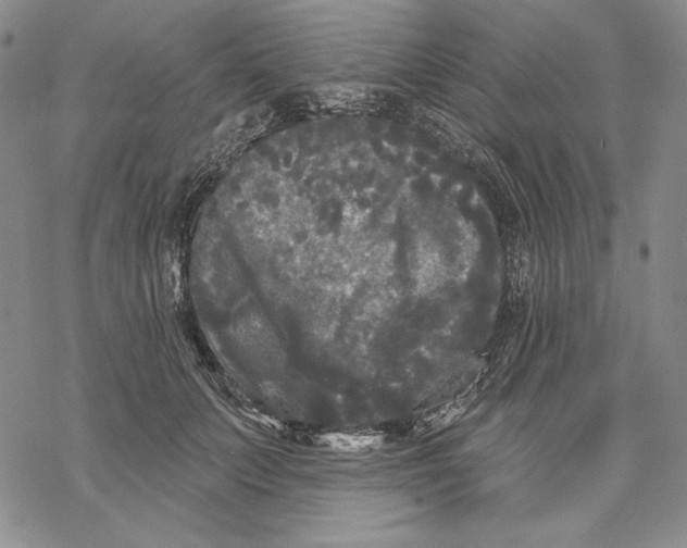 X0000068770703200605191648