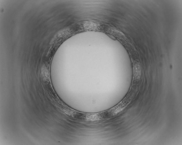 X0000068770705200605191648