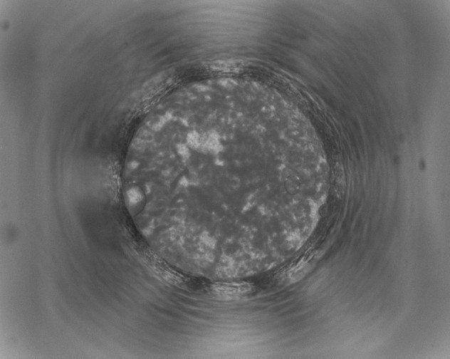 X0000068770707200605191648