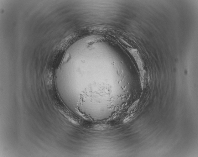 X0000068770708200605191648