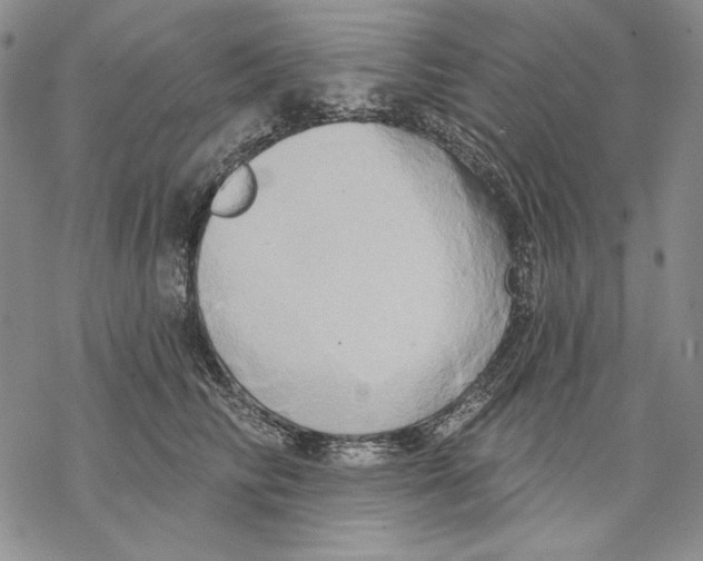 X0000068770710200605191648