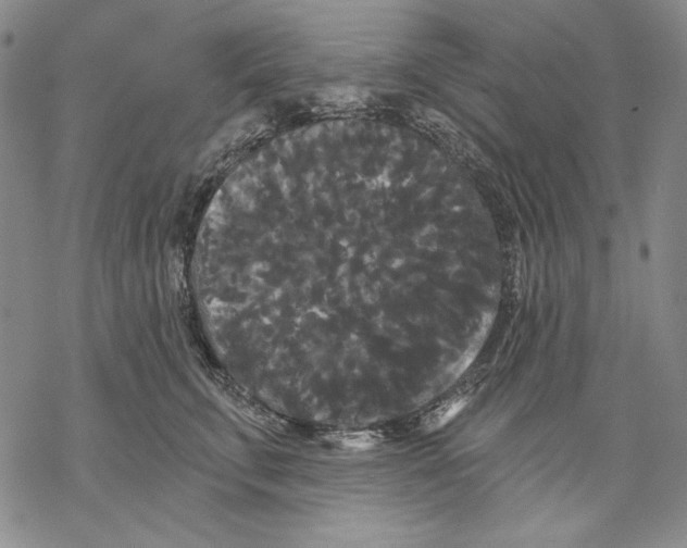 X0000068770711200605191648