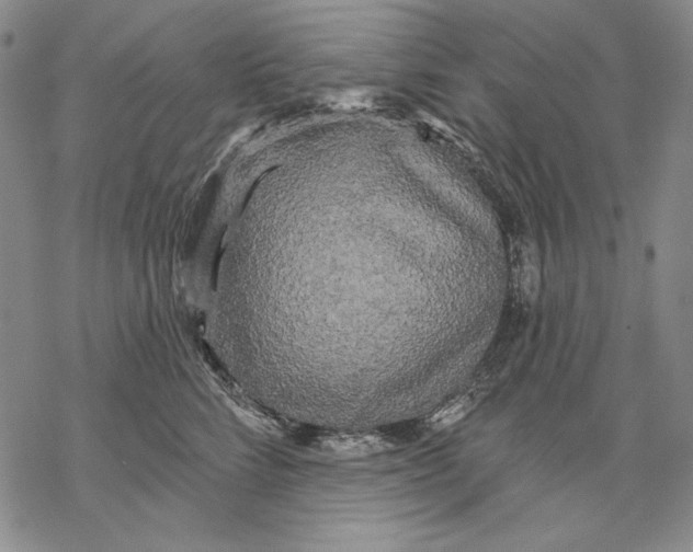 X0000068770712200605191648