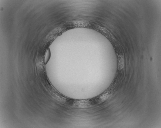 X0000068770713200605191648