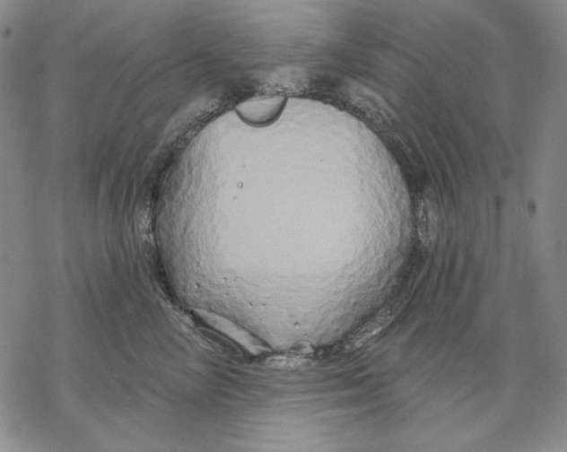 X0000068770714200605191648