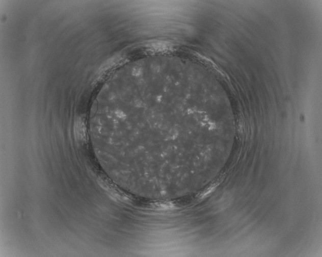 X0000068770715200605191648