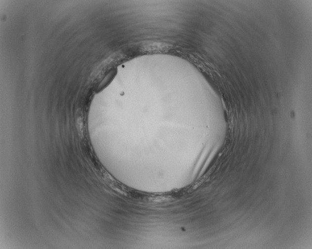 X0000068770716200605191648