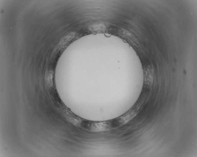 X0000068770717200605191648