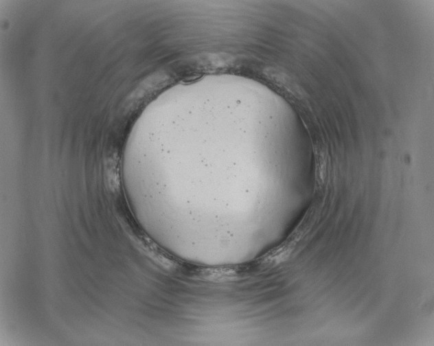 X0000068770719200605191648