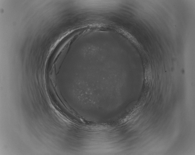 X0000068770722200605191647