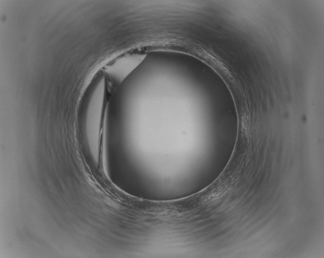 X0000068770724200605191647