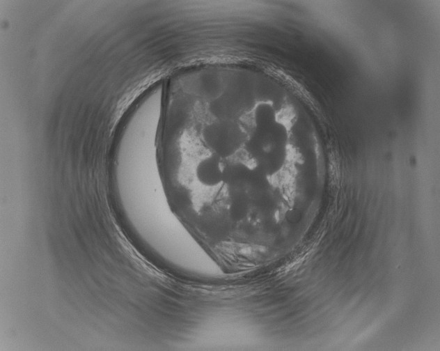 X0000068770725200605191647