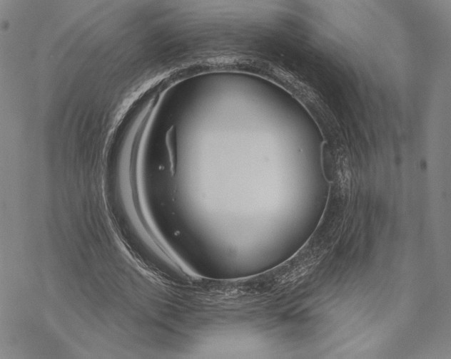 X0000068770728200605191647