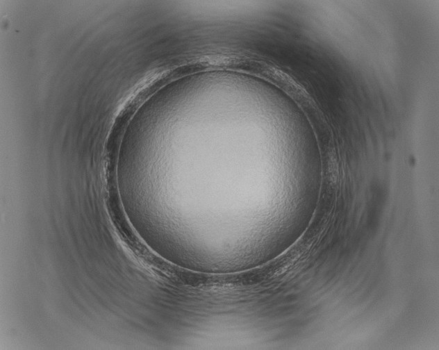 X0000068770730200605191647