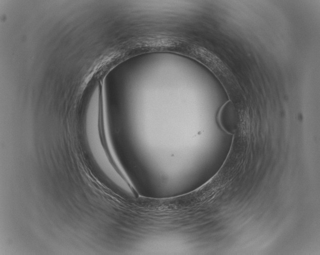 X0000068770731200605191647