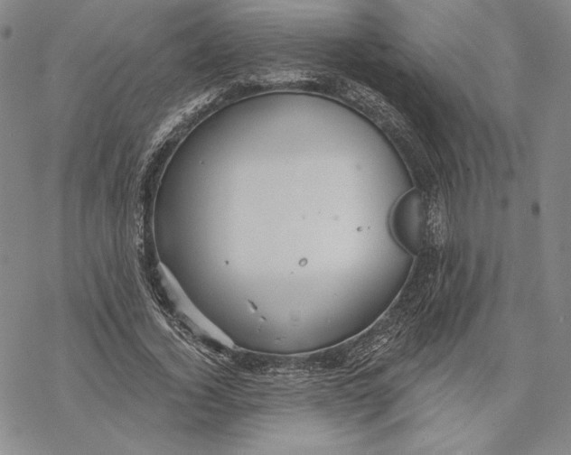 X0000068770732200605191647