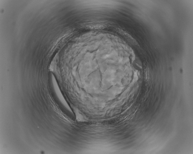 X0000068770733200605191647