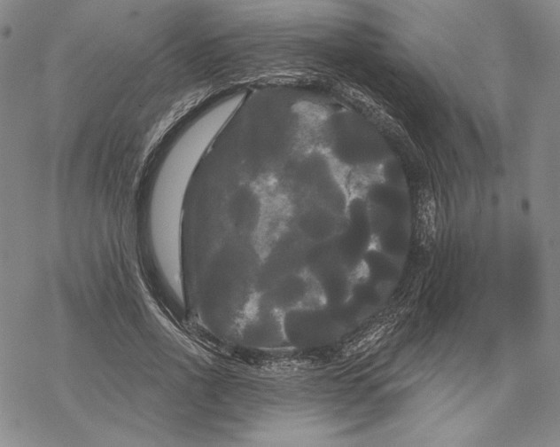 X0000068770734200605191647