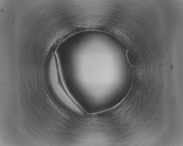 X0000068770735200605191647