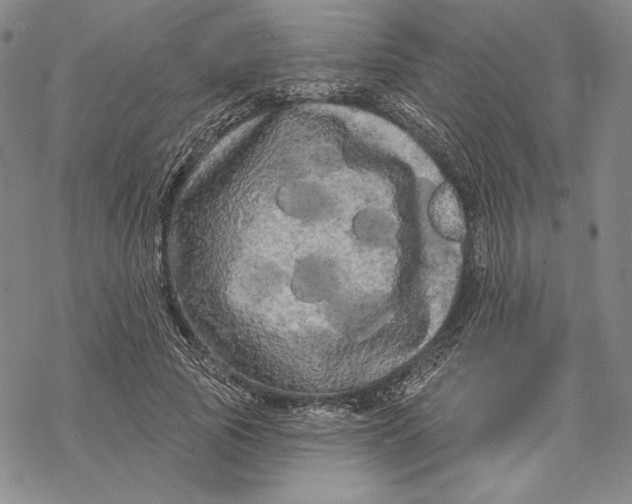 X0000068770737200605191647