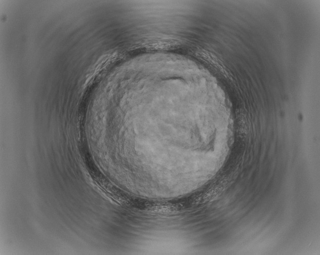 X0000068770738200605191647