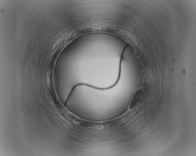 X0000068770740200605191648