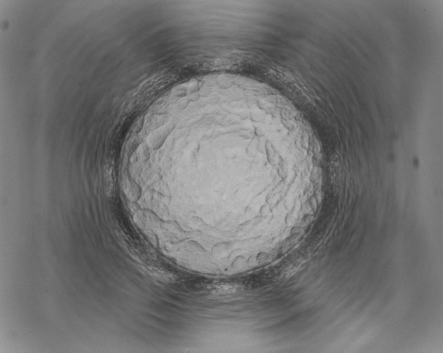 X0000068770741200605191648