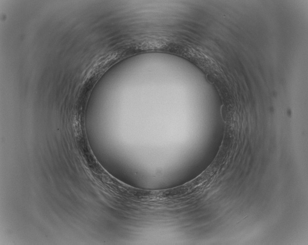 X0000068770743200605191648