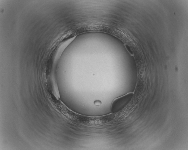 X0000068770744200605191648