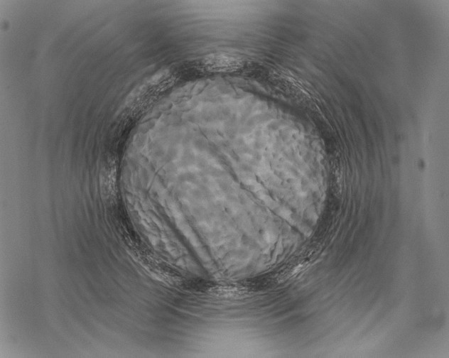 X0000068770745200605191648