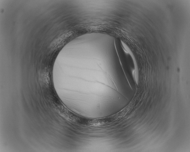 X0000068770746200605191648