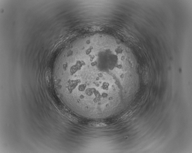 X0000068770747200605191648