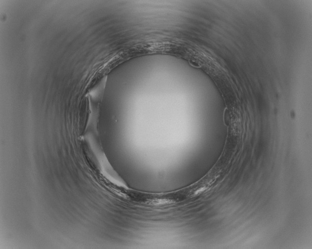 X0000068770748200605191648