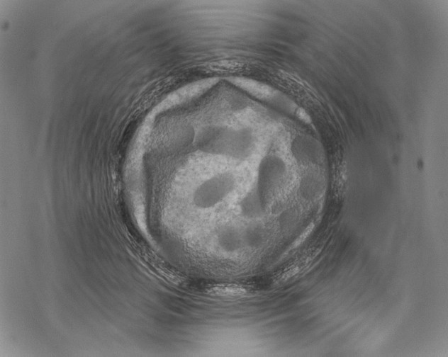 X0000068770749200605191648