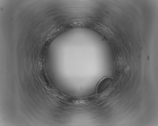 X0000068770751200605191648