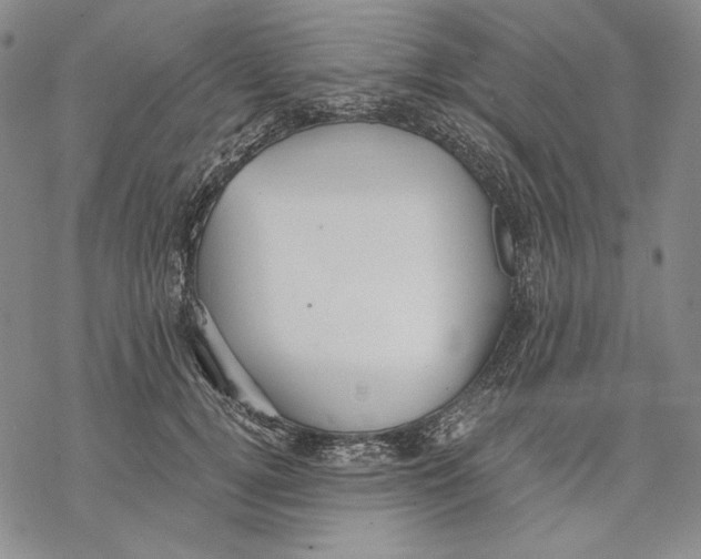 X0000068770752200605191648