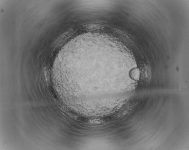 X0000068770753200605191648