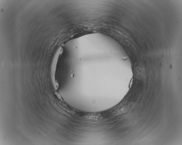 X0000068770756200605191648