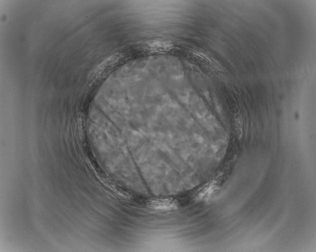 X0000068770757200605191648