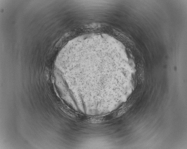 X0000068770758200605191648