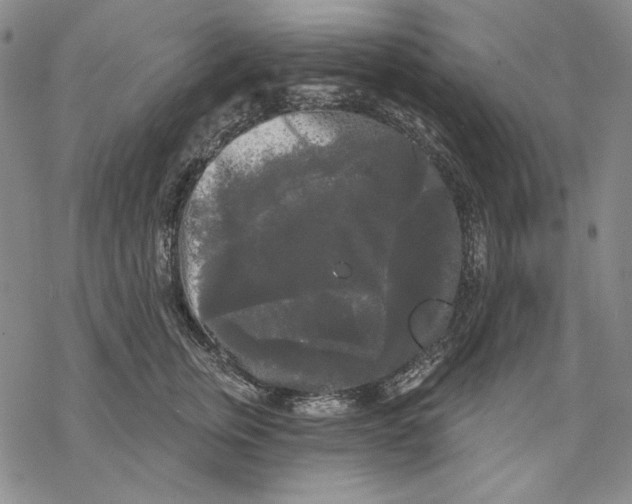 X0000068770759200605191648