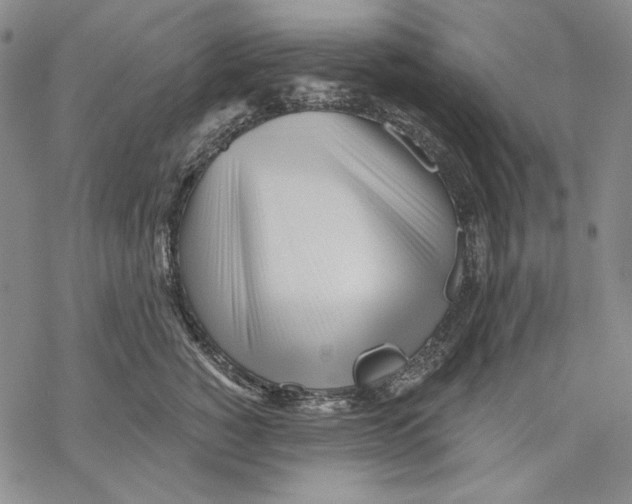 X0000068770760200605191648