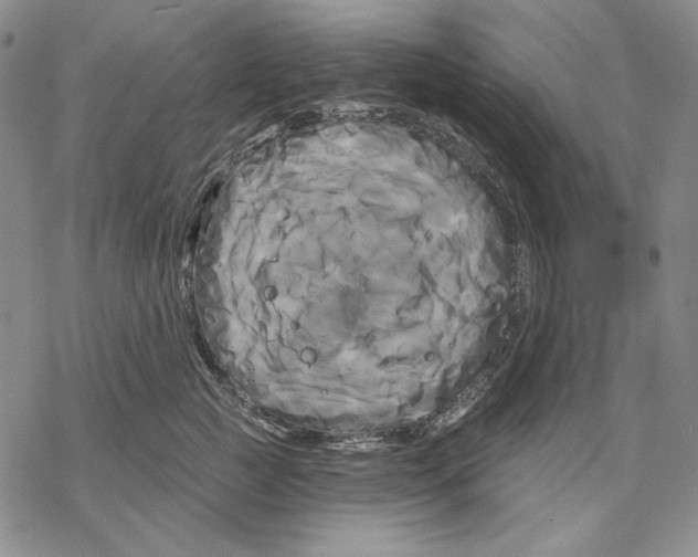 X0000068770761200605191648