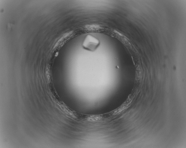 X0000068770762200605191648