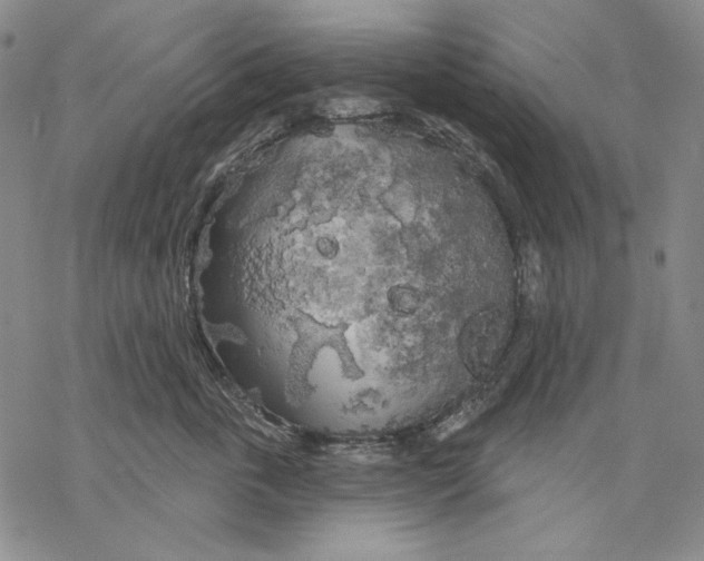 X0000068770763200605191648